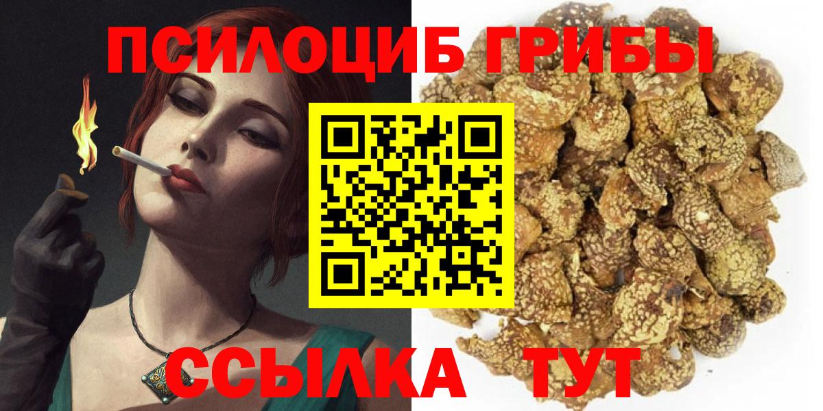 Псилоцибиновые грибы Magic Shrooms  Вход с VPN  купить наркотик  Заводоуковск 