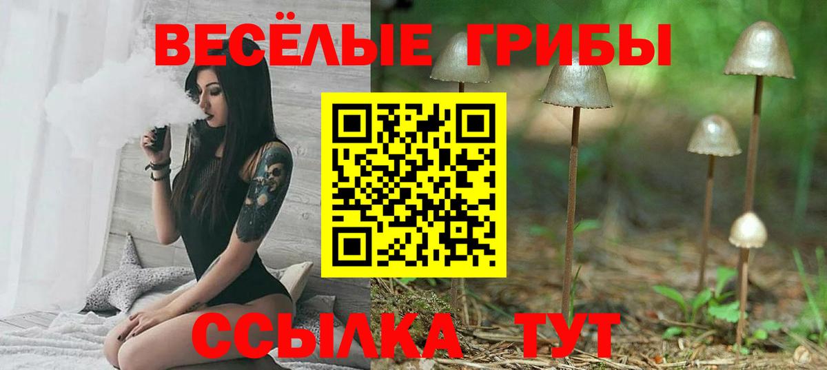 Псилоцибиновые грибы мицелий Заводоуковск